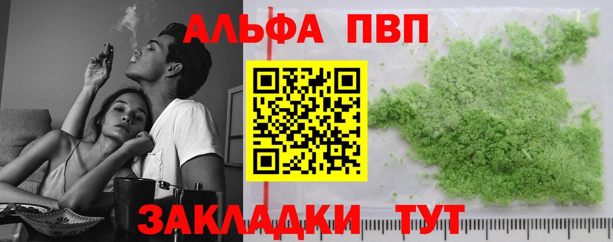 Альфа ПВП СК КРИС Хасавюрт