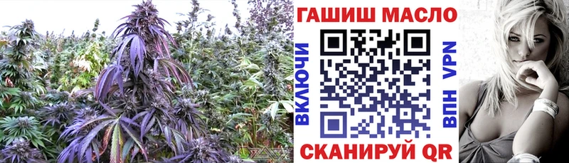 Дистиллят ТГК концентрат  mega ССЫЛКА  Хасавюрт  продажа наркотиков 