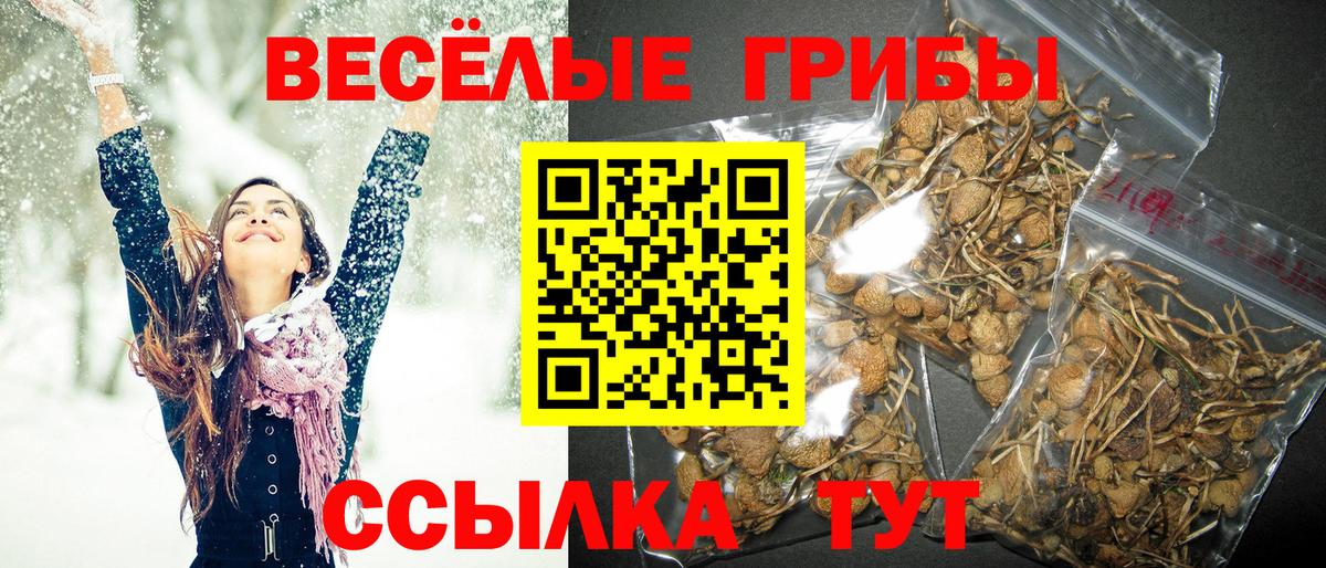 Галлюциногенные грибы ЛСД  Галлюциногенные грибы GOLDEN TEACHER  Хасавюрт  Вход с VPN 