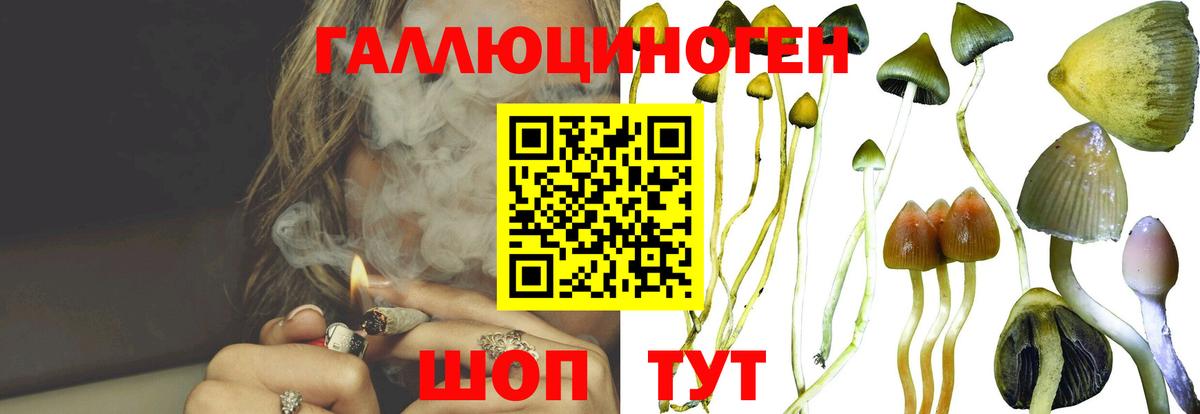 Галлюциногенные грибы GOLDEN TEACHER Хасавюрт